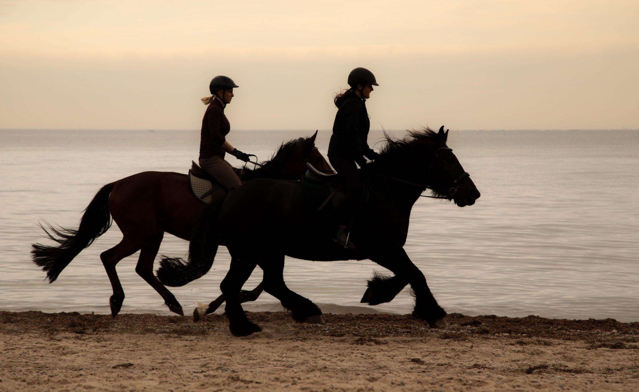 Horse Riding