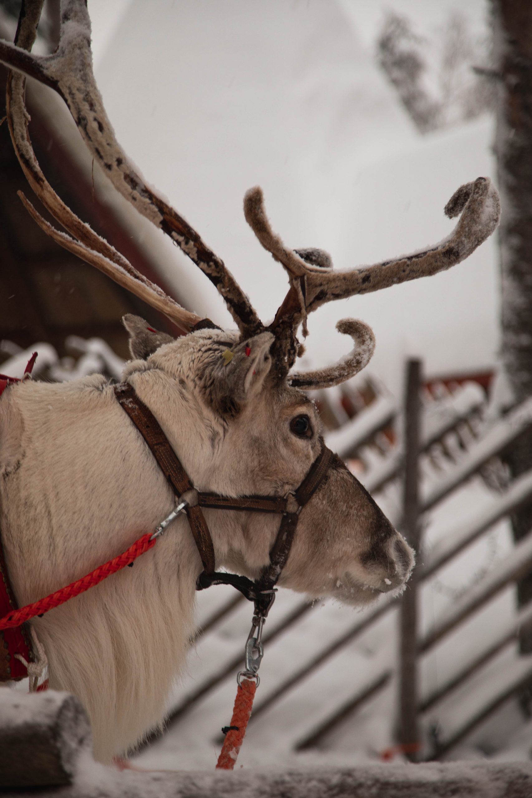 Finnland – Santa Village