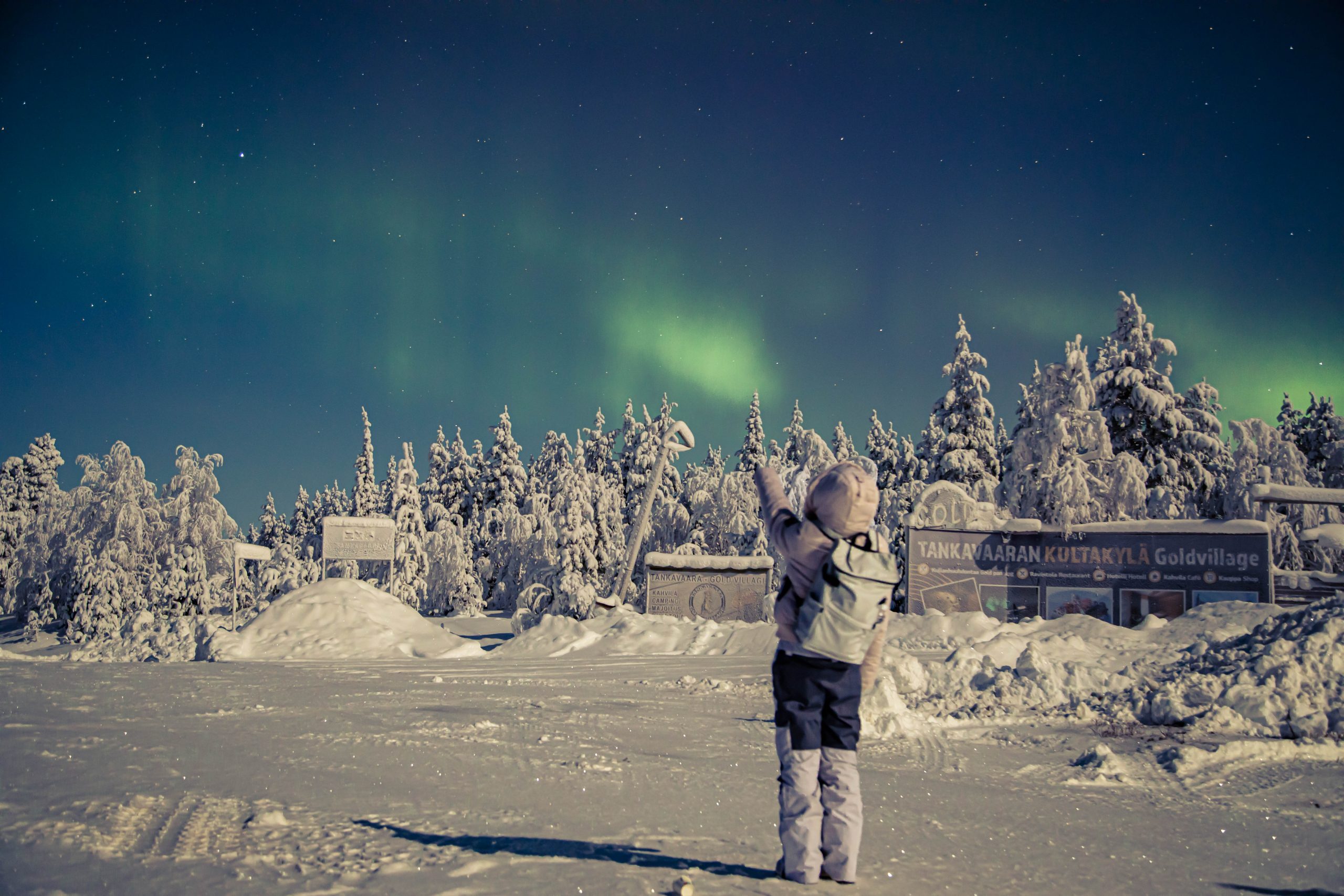 Aurora – The Northern Light